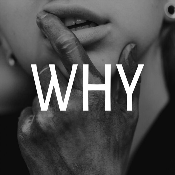 Coyot + The Prince Karma feat. Kallay Saunders - Why
